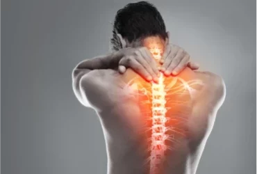 Spine Rehabilitation